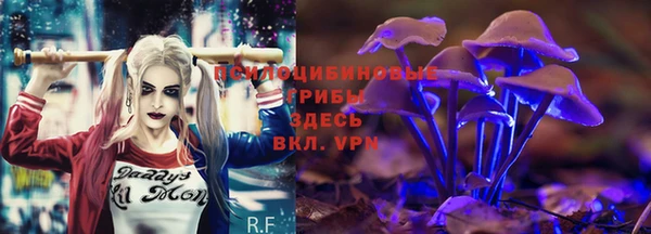 бутират Михайлов