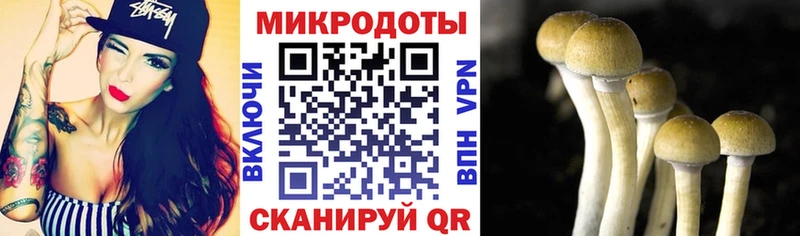 Псилоцибиновые грибы Psilocybe  Яранск 
