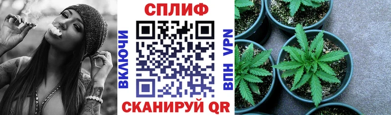 ссылка на мегу ССЫЛКА  Яранск  Марихуана Bruce Banner 